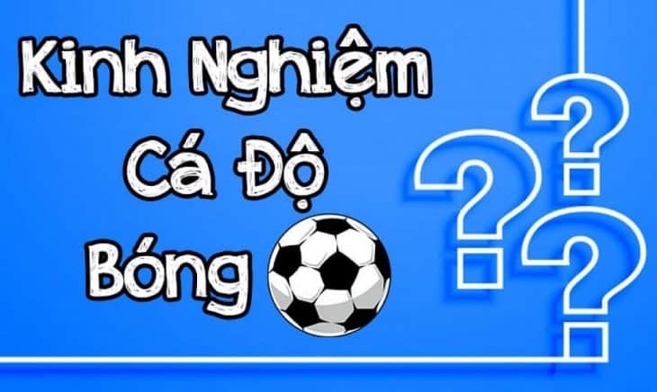 Cách thức giúp các tân binh giành chiến thắng trong cá độ bóng đá