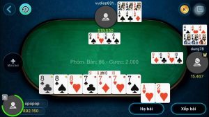 Cầm chương trong 3 cây tốt hay xấu